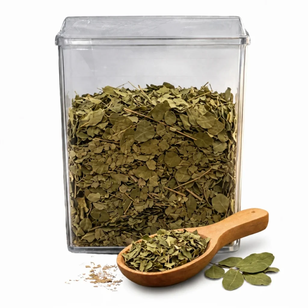 FOLHAS DE MORINGA